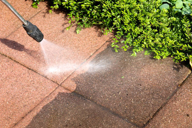 Local Pressure Washing Services in South Monroe, MI